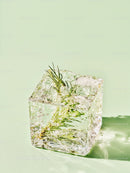Fresh herb encased in translucent ice cube on green