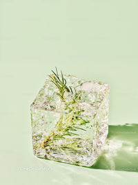 Fresh herb encased in translucent ice cube on green