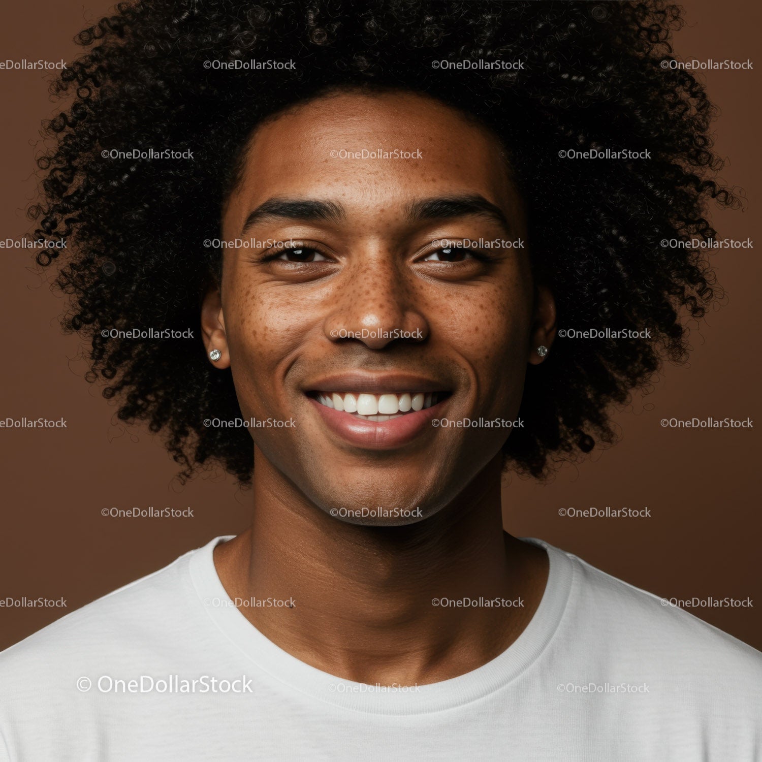 Portrait of Smiling African American Woman with Curly Hair