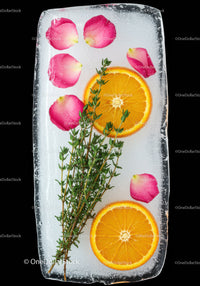 Fresh orange slices and thyme frozen in ice block