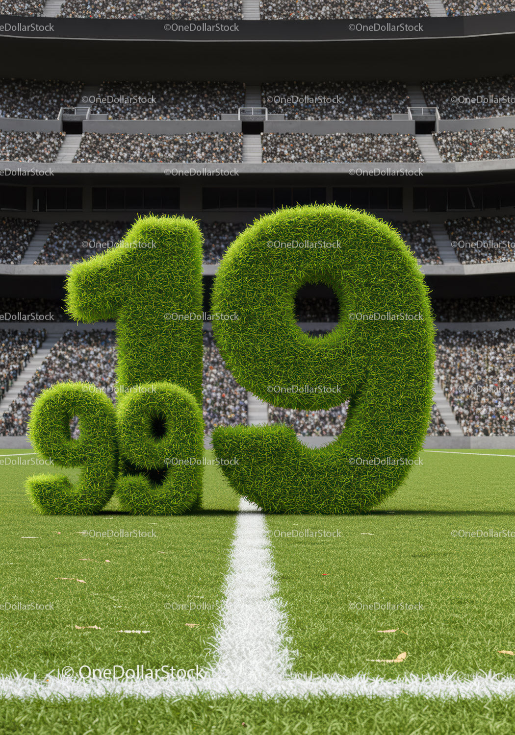 Green Grass Numbers 19 and 91 on Soccer Field