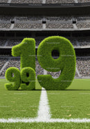 Green Grass Numbers 19 and 91 on Soccer Field