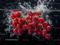 Red Currants Falling into Water Splash Juicy Fresh Fruit