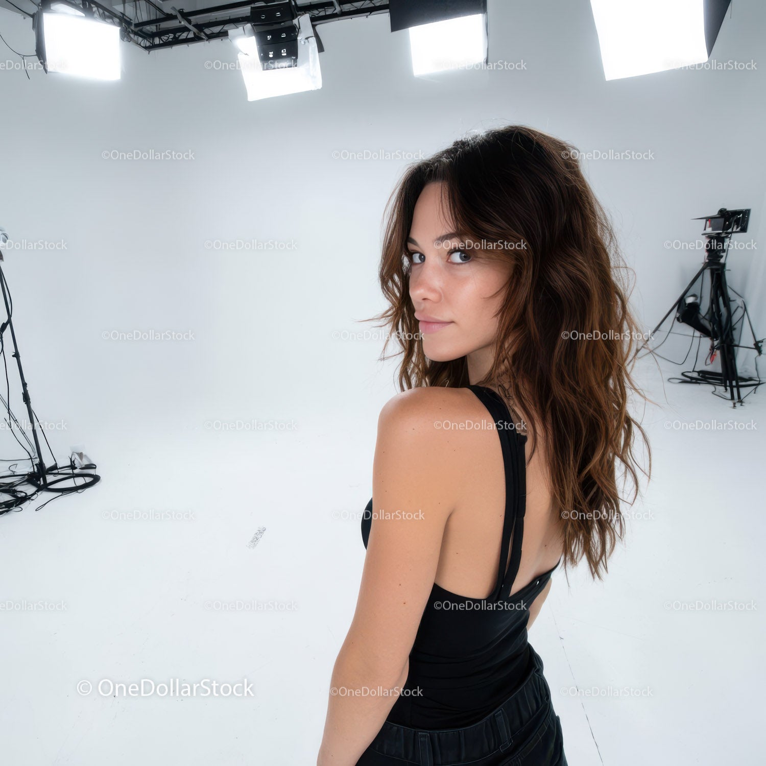 Fashionable Woman Portrait in Studio with Elegant Style