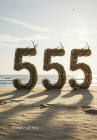 Natural Wood Number 555 on Sunny Beach Shore