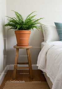 Indoor Fern in Terracotta Pot on Wooden Stand Next to Bed