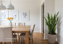 Bright Modern Dining Room with Large Snake Plant and Floral Artwork