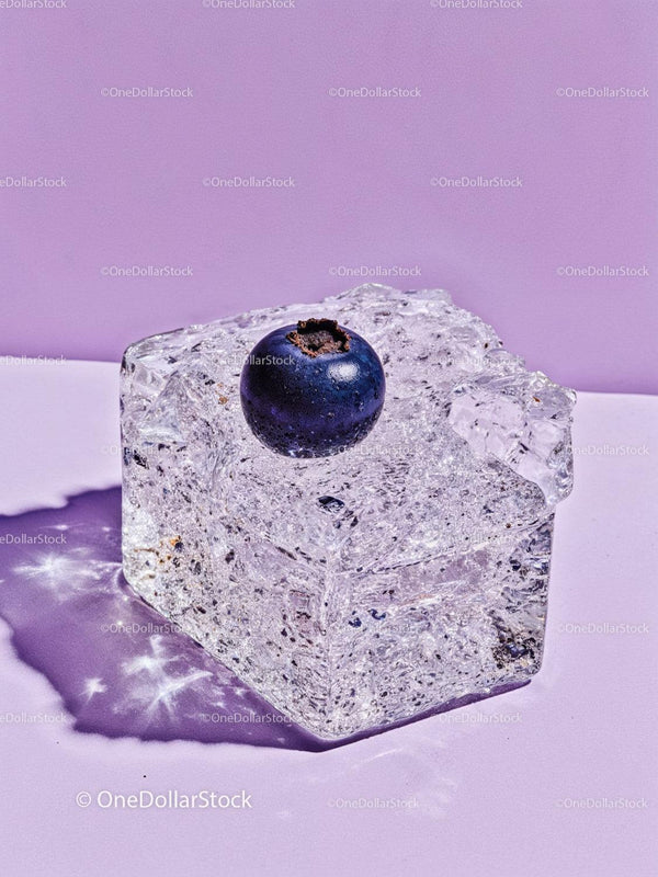 Single Blueberry Resting on Sparkling Ice Cube