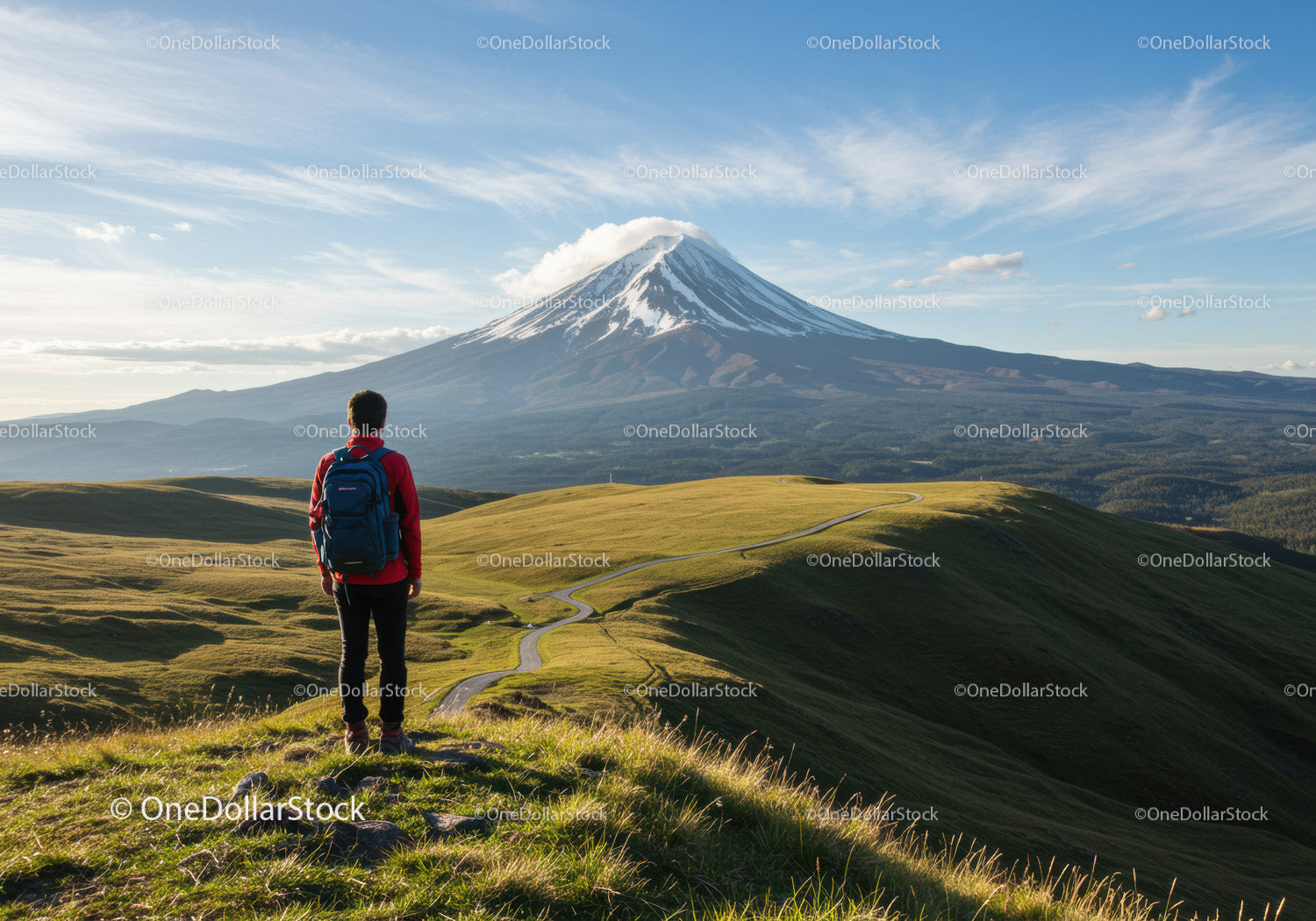 Majestic Snow-Capped Volcano Behind Rolling Green Hills with Hiker