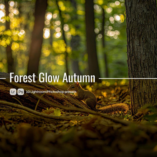 Forest Glow Autumn Presets (10 XMP files)