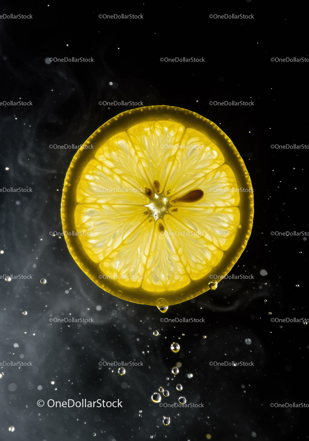 Fresh Lemon Slice Suspended in Dark Water