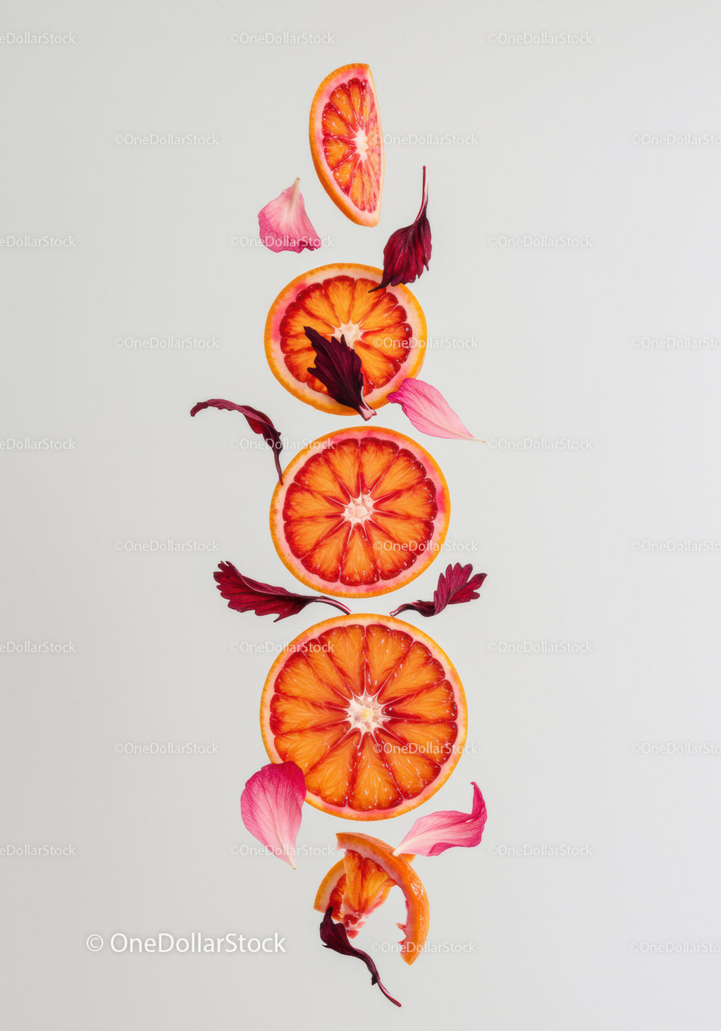 Blood orange slices with delicate pink and red petals
