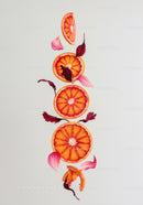 Blood orange slices with delicate pink and red petals