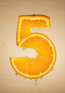 Fresh Orange Slice Shaped Like Number Five