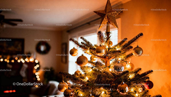 Cozy living room with decorated Christmas tree and lights