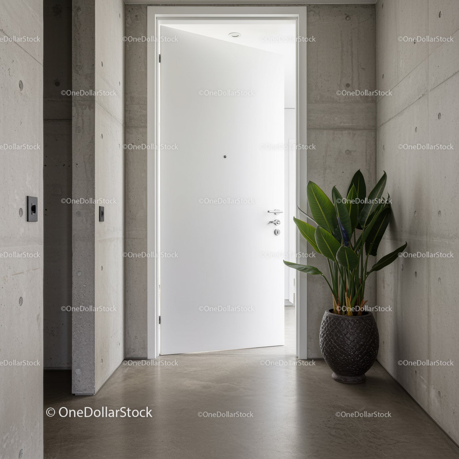 Minimalistyczne wejście do domu z zieloną roślinnością i nowoczesnym designem