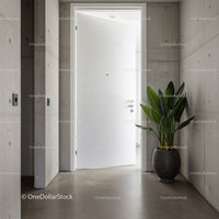 Minimalist Indoor Entrance with Green Foliage and Modern Design