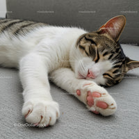 Tabby cat peacefully sleeping on soft gray surface