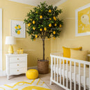 Bright Lemon Tree Indoor Garden in Modern Nursery Room