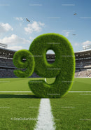 Green Grass Number Nine on Soccer Field in Stadium
