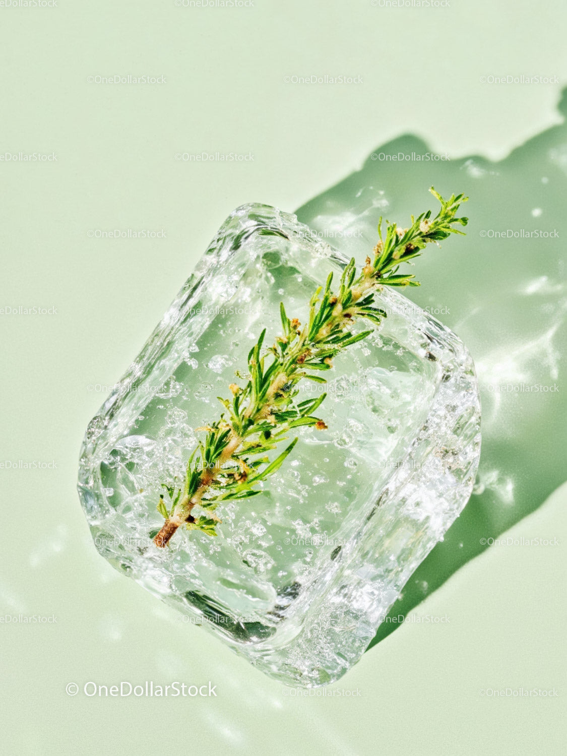 Fresh herb encased in melting ice cube on light surface
