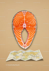 Fresh salmon steak above folded world map on beige