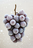 Frozen purple grape cluster with frost crystals