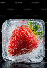 Fresh Strawberry Frozen Inside Clear Ice Cube