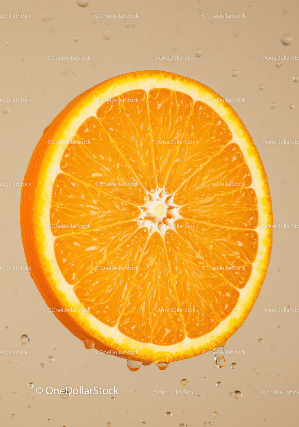 Fresh Orange Slice with Water Droplets Closeup