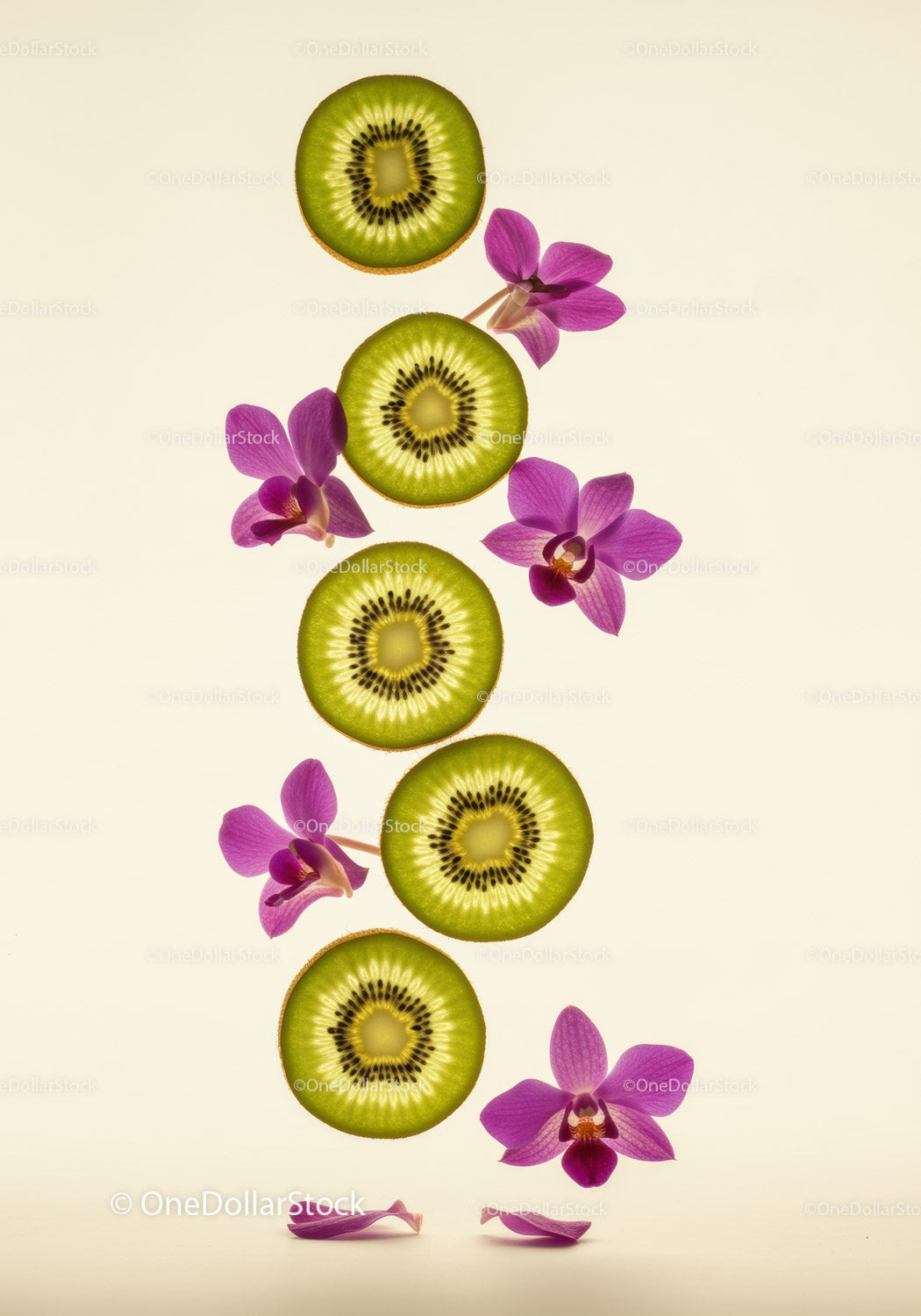 Pionowy układ plasterków kiwi z delikatnymi kwiatami orchidei