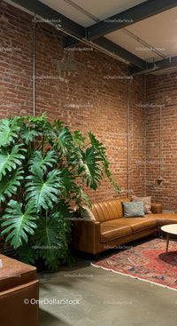 Stylish Lounge with Large Monstera Plant and Leather Couch in Modern Industrial Space