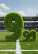 Green Grass Number Nine And Decimal On Football Field