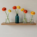Colorful Ranunculus Flower Bouquet in Glass Vases on Wooden Shelf