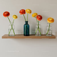 Colorful Ranunculus Flower Bouquet in Glass Vases on Wooden Shelf