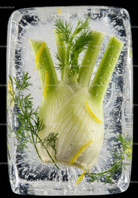 Fresh fennel bulbs and herbs frozen in ice block