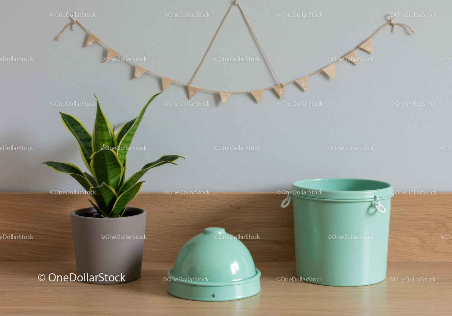 Green Houseplant with Mint Green Watering Can and Storage Container