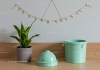 Green Houseplant with Mint Green Watering Can and Storage Container