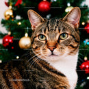 Close up of tabby cat with Christmas tree decorations