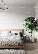 Modern Bedroom Interior with Monstera Plant and Minimalist Decor