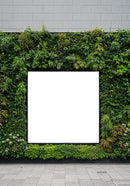 Blank Square Billboard Surrounded by Green Wall Plants