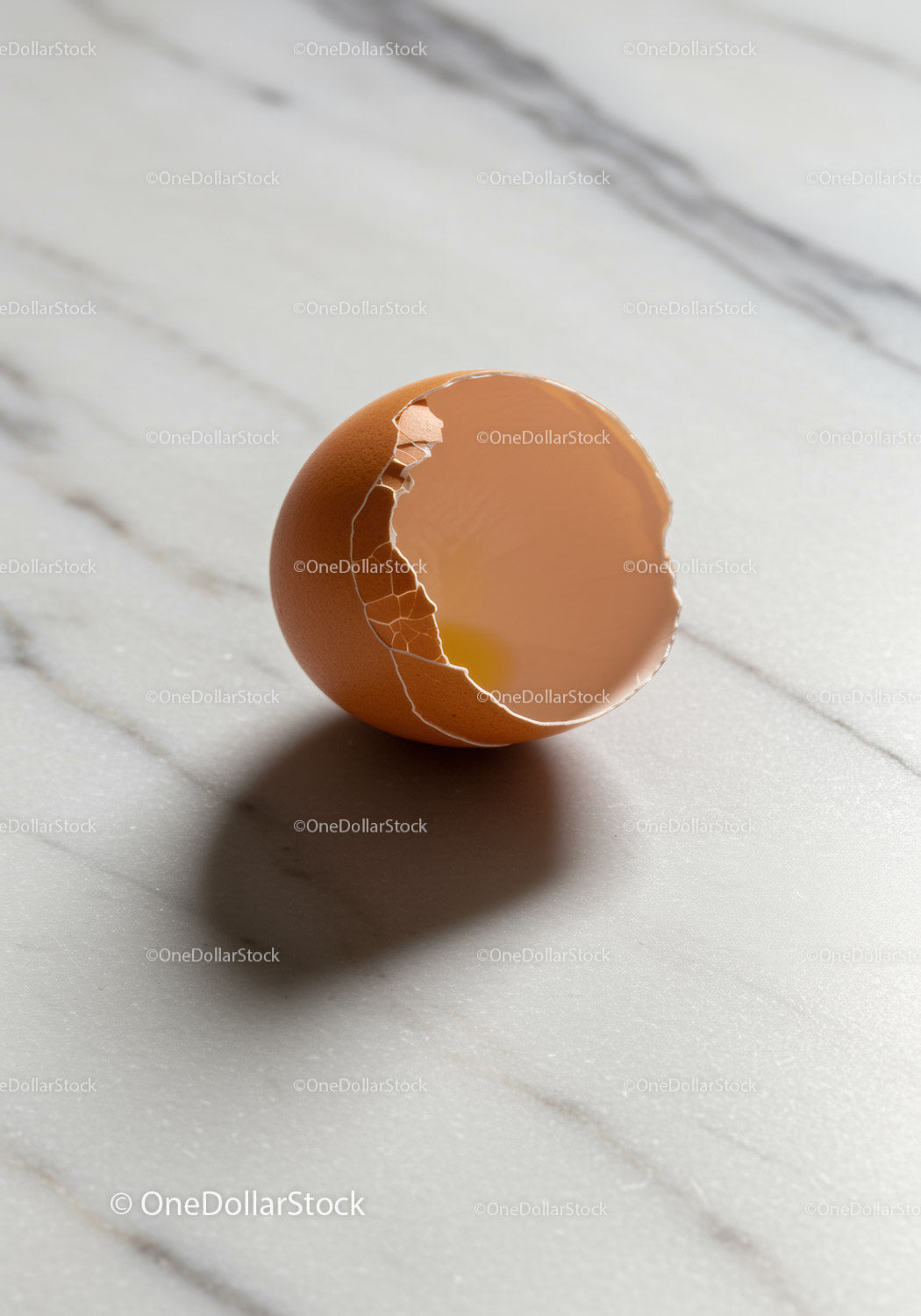 Broken brown egg shell on marble countertop