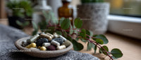 Herbal Supplements in Bowl with Plant on Rustic Surface for Natural Wellness