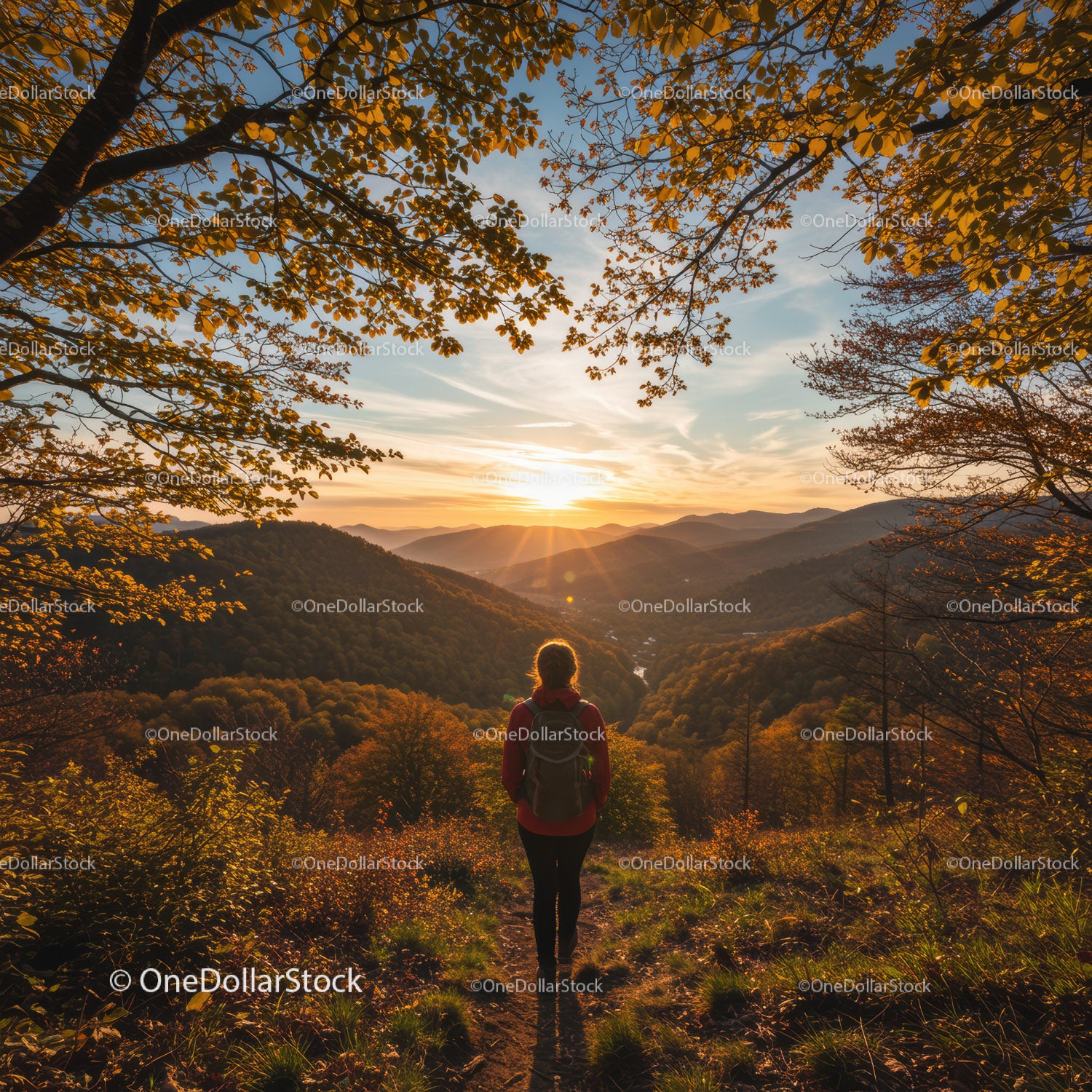 Autumn Mountain Sunset with Hiker on Forest Trail