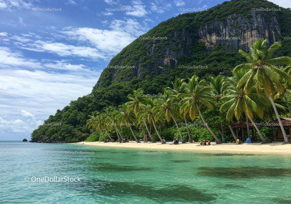 Tropical Beach with Palm Trees and Mountain Backdrop Scenic Landscape