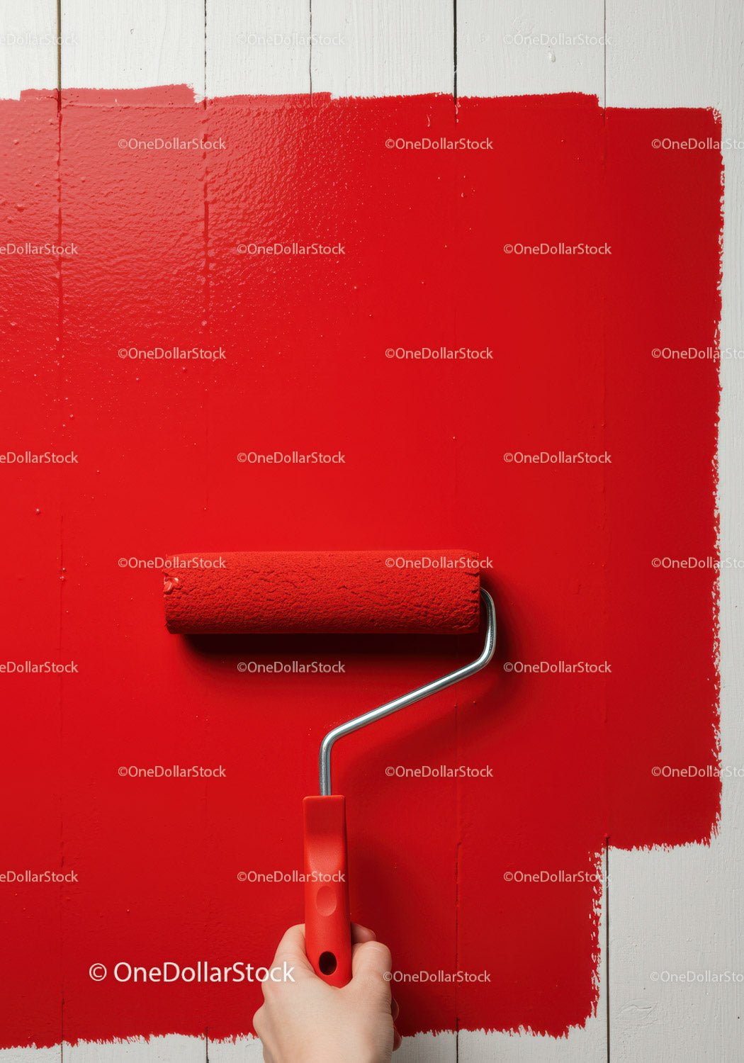 Red Wall Painting with Roller Tool for Home Decor