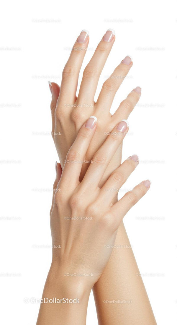 Woman's hands with elegant French manicure