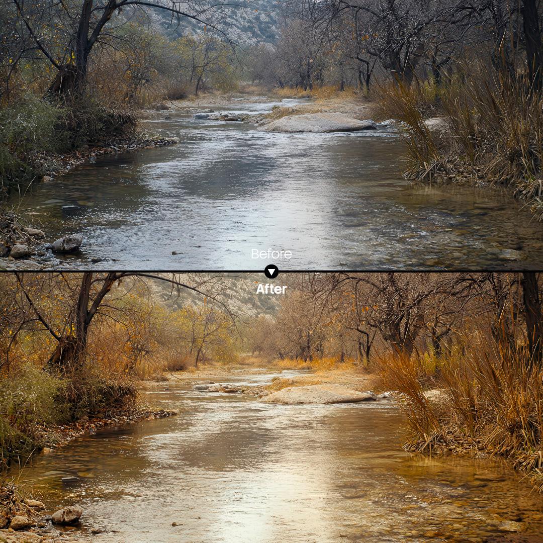 Before and after Cozy Autumn Leaves Palette LUT Pack effect
