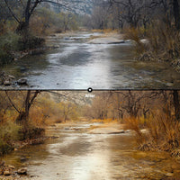 Before and after Cozy Autumn Leaves Palette LUT Pack effect