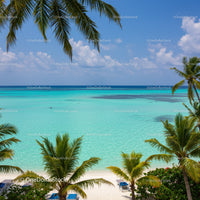 Tropical Beach with Palm Trees and Turquoise Water Under Blue Sky