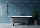 Vintage clawfoot bathtub with modern shower and plant